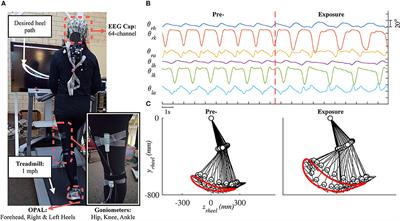 Multi-Trial Gait Adaptation of Healthy Individuals during Visual Kinematic Perturbations